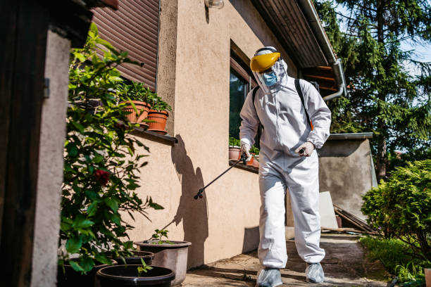 Best Mosquito Control Services  in Elsberry, MO